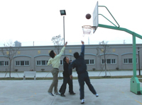 Basketball court